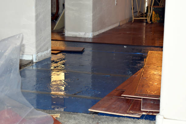 Professional Basement Flood Cleanup technician working in New Lenox, IL