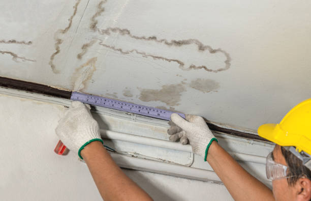 Reliable Basement Flood Cleanup contractor in New Lenox, IL by Aqua Guard Water Damage